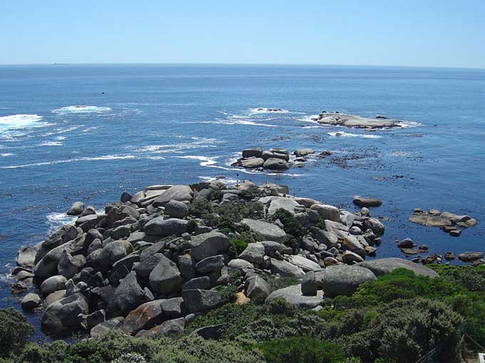 Coral Reef at Oude Kraal, Cape Peninsula