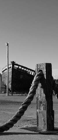 Scene in the Hout Bay harbour