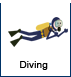 AC 080 Diving