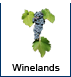 Cape Winelands