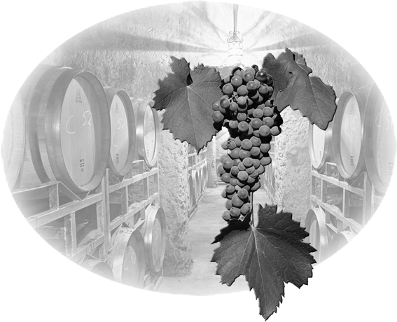 Barrels and Grapes