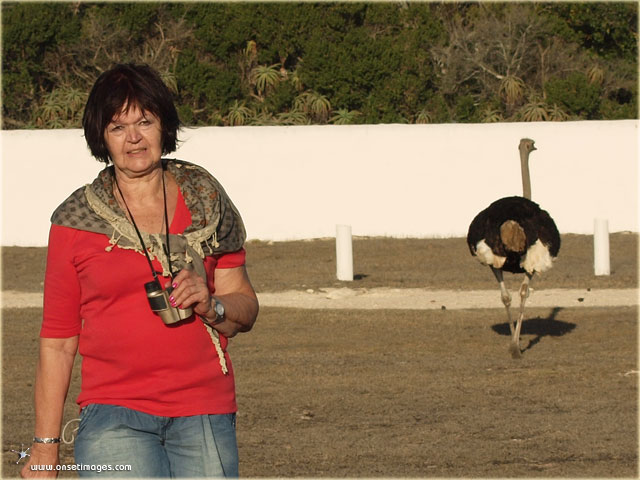 Eva after an encounter with the ostrich