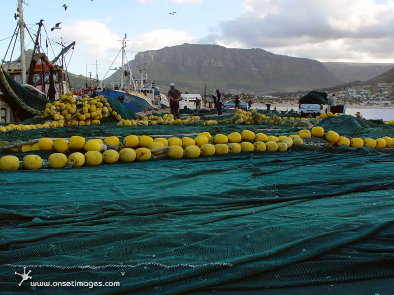 Hout Bay harbour