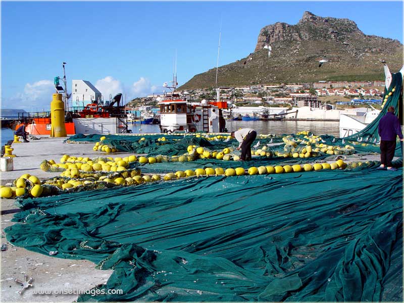 Hout Bay harbour