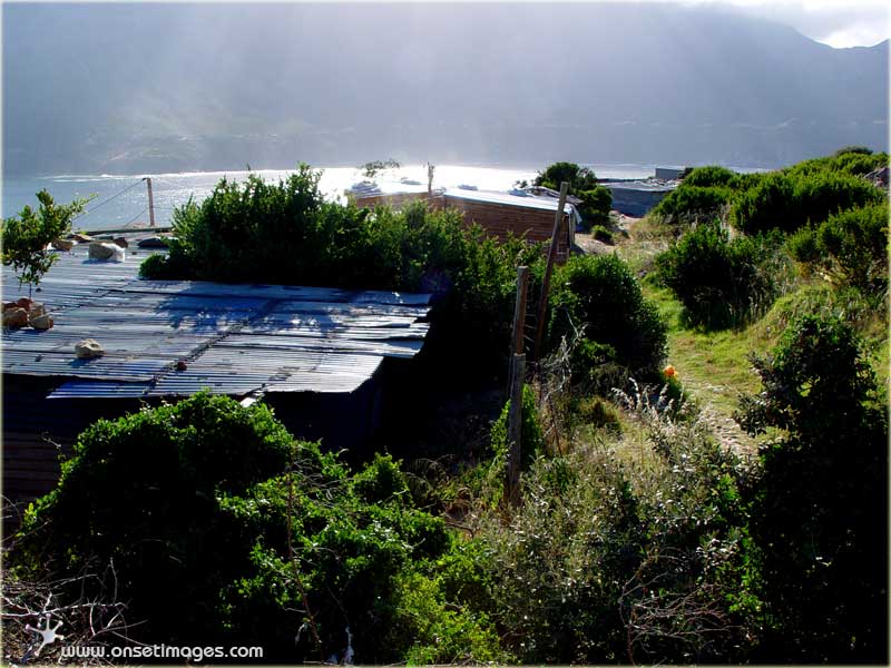 Hout Bay harbour