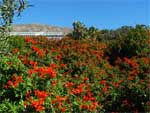 Hout Bay - enlarged image